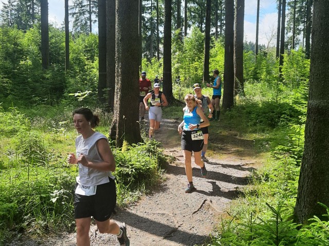 12. SachsenTrail auf dem Rabenberg