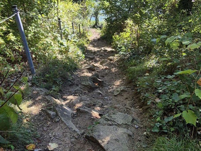 WachauTrail2025